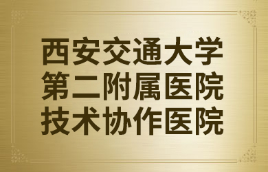 安琪儿特色